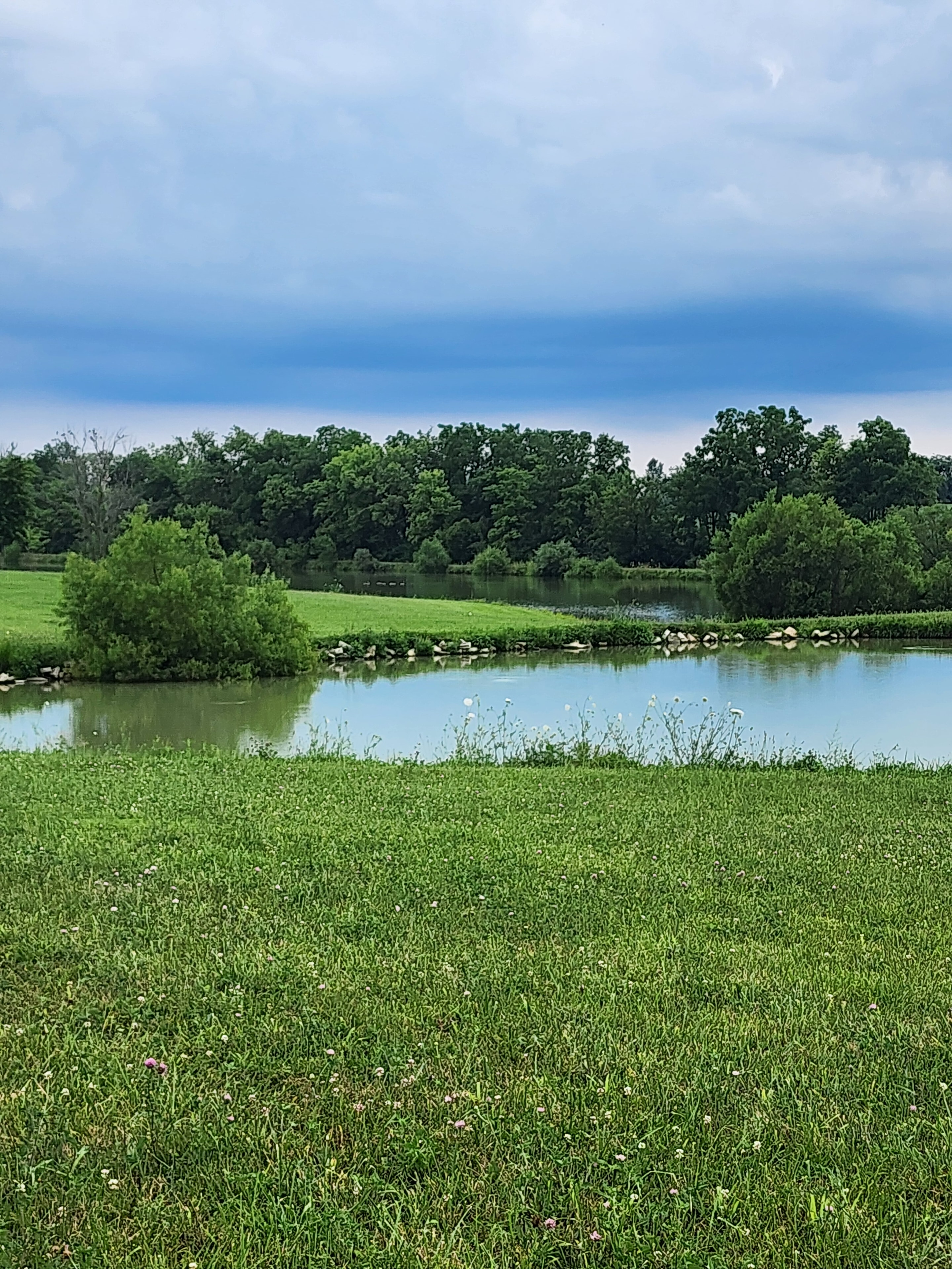 Abby's Oasis countryside grounds